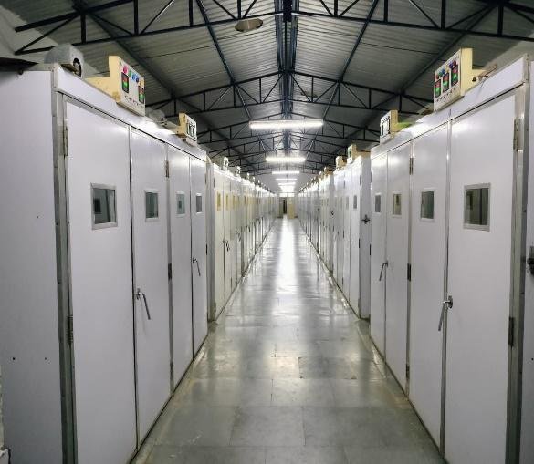 Premium Hatchery